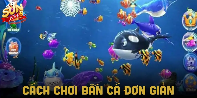 Hướng dẫn cho người mới