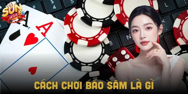 Hướng dẫn cho người mới